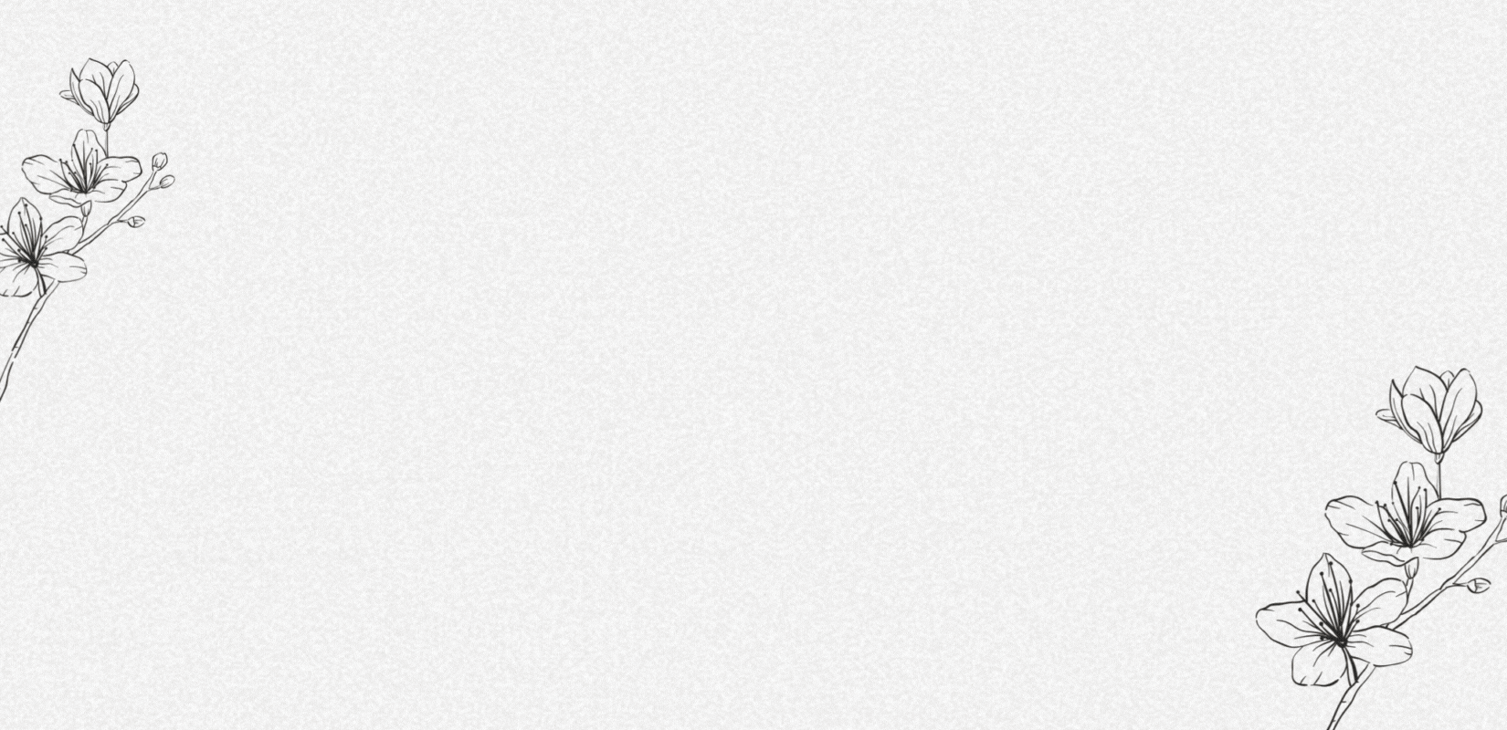 El poder de los conjuntos de invitada